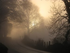 A misty morning in Cynwyd Forest at Ty Mam Mawr