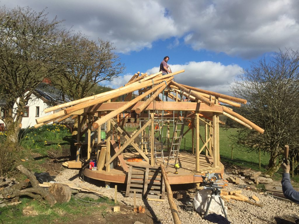 Ty Mam Mawr straw bale roundhouse in skeleton form with the reciprocal frame roof about half completed