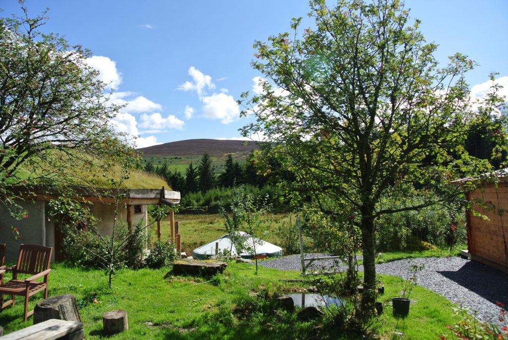 Rowan berries, Moel y Henfaes and Ty Mam Mawr straw bale roundhouse with the yurt in the background