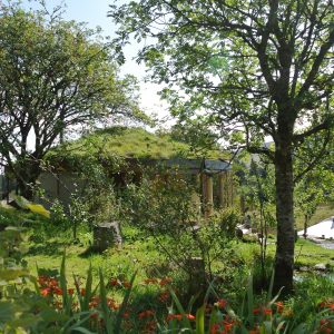 The straw bale roundhouse blending in nicely with nature at Ty Mam Mawr off grid eco retreat centre