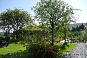 Rowan trees around the straw bale roundhouse at Ty Mam Mawr eco retreat centre high in the Berwyn Mountains overlooking the Dee Valley in North Wales